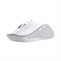 Trust Ferro Hyperwheel Wrls Mouse White