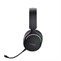 Trust GXT491 Fayzo Wireless Headset Black