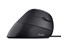 Trust BAYO Ergo Wired Mouse Eco