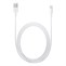 Apple Lightning to USB Cable