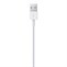 Apple Lightning to USB Cable