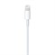 Apple Lightning to USB Cable