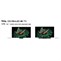 TCL 85C765 QD-MiniLED