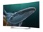 LG 55EG910V