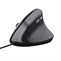 Trust Bayo II Ergonomic Mouse Black