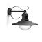 Philips Topiary 01816/30/PN