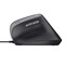 Trust Bayo II Ergonomic Mouse Black