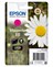 Epson T1803 Magenta, C13T18034012