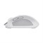 Trust OZAA COMPACT WIRELESS MOUSE WHT