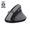 Trust Bayo II Ergonomic Wireless Mouse Black