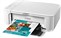 Canon PIXMA MG3650S White