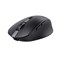 Trust OZAA COMPACT WIRELESS MOUSE