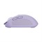 Trust OZAA COMPACT WIRELESS MOUSE PURPLE