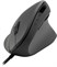 Speedlink PIAVO Ergonomic Vertical Mouse