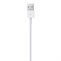 Apple Lightning to USB Cable (1 m)