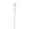 Apple Lightning to USB Cable (1 m)