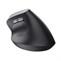 Trust Bayo II Ergonomic Wireless Mouse Black