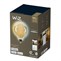WiZ LED E27 G200 8718699786830 20-50K Am