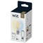 WiZ LED E27 A60 8718699787158 27-65K Fil