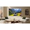 TCL 85C765 QD-MiniLED