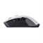 Trust Gxt923W Ybar Wireless Mouse