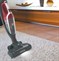 Hoover H-FREE 2IN1 HF21F25 011