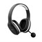 Trust GXT391 Thian W/L Headset Eco