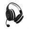 Trust GXT391 Thian W/L Headset Eco