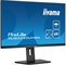 iiyama ProLite XUB3293UHSN-B5