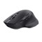 Trust OZAA+ MULTI-CONNECT WRL MOUSE BLK