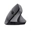 Trust Bayo II Ergonomic Wireless Mouse Black