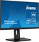 iiyama ProLite XUB2492HSU-B6