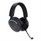 Trust GXT491 Fayzo Wireless Headset Black