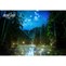 TCL 85C765 QD-MiniLED