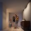 Philips Donegal 50393/99/PN GU10 3x55W