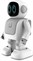 ALI Smart IT Dancing Robot, grey ASR002