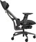 Asus ROG Destrier Ergo