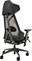 Asus ROG Destrier Ergo