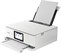Canon  PIXMA TS8751 white