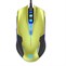 E-Blue Myš Auroza G, 3000DPI, zelená