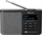 ECG RD 250 DAB Black