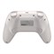 GameSir Nova MultiPlalform Gaming Controller RW