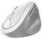 Genius Ergo 8350S bílo-šedá