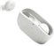 JBL Wave Buds white