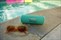 JBL Flip 6 teal