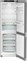 Liebherr KGNsd 52Vc03