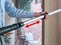 Miele Complete C3 Cat&Dog Powerline