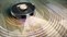 Shark RV2820VEEU PowerDetect Auto-Empty