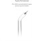 TrueLife AquaFloss C300 Periodontal Jet