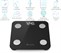TrueLife FitScale W1 BT Black